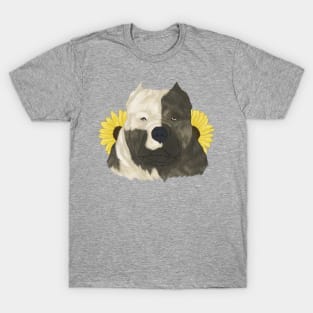 Brindle Pied American Bully with Sunflowers T-Shirt